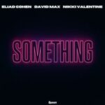 David Max, Nikki Valentine – Something