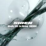 SINEX, WeaKy 303 – Go Wrong