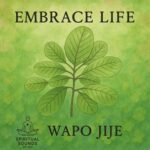 WAPO Jije – Embrace Life