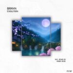 Hobin Rude, Brann (AR) – Evolution