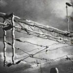 Opt out – Verfrem