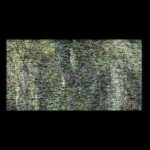 Swalenz – STEP