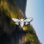 SGR – Back for More