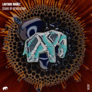 Lautaro Ibañez – Stand By Revolution