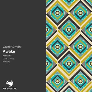 Liam Garcia, Vagner Silveira – Awake