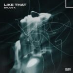 Bruce K – Like That