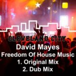 David Mayes – Freedom of House Music