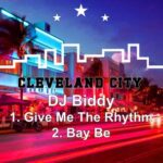 DJ Biddy – Give Me the Rhythm