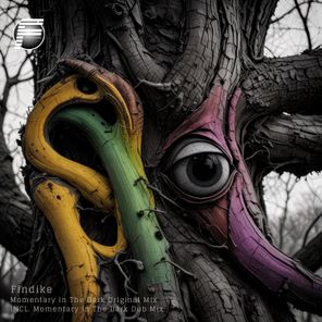 Findike – Momentary in the Dark
