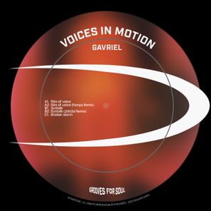 2bit2bi, PAMPA – Voices in motion