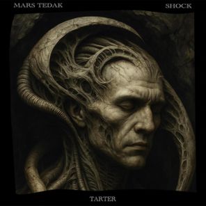 Mars Tedak – Shock