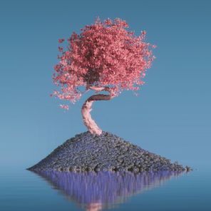 Lupo – Ale