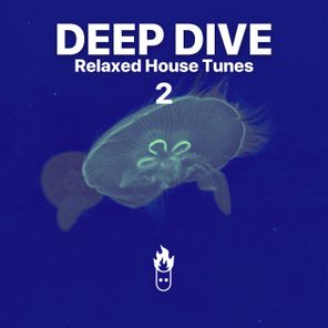 Sven Tasnadi, Juno6 – Deep Dive 2