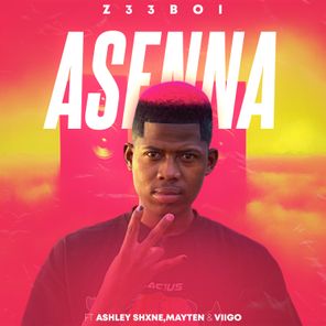 Virgo, Z33BOI – Asenna