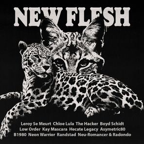 The Hacker, Boyd Schidt – New Flesh II