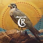 Tibetania, B1ko – Falcon