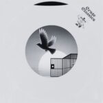 Ozone, Crate Classics – Born to be Free (Ozone Remix)