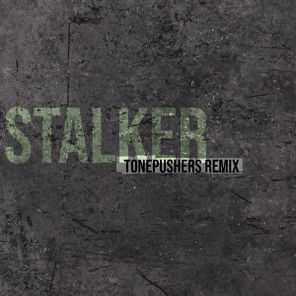 Tonepushers, P.T.B.S. – Stalker (Tonepushers Remix)
