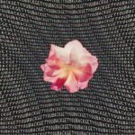 8b30d561 a05b 451f a13a a4580714aa07