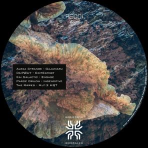The Ripped, Parde Grilon – RS001