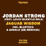 Jordan Strong, Bluetech – Jaguar Wisdom