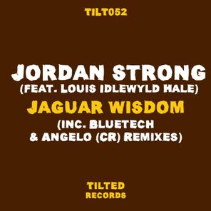 Jordan Strong, Bluetech – Jaguar Wisdom