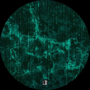 Luca Maniaci – The Matrix Collapse