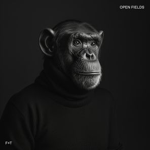 The Kite String Tangle, Felsmann + Tiley – Open Fields