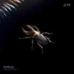 Deep Sound Effect – Florafauna