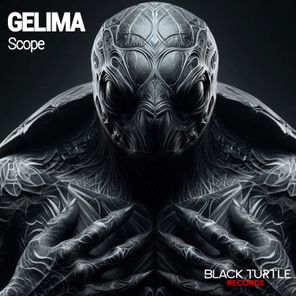 GELIMA – Scope