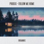 Prosix – Follow Me Home