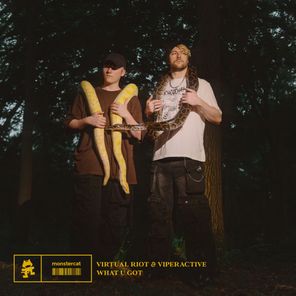 Virtual Riot, Viperactive – What U Got