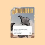 SARSO – Goodbye Forever