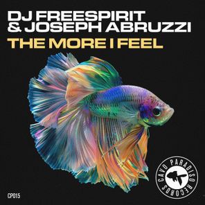 Dj Freespirit, Joseph Abruzzi – The More I Feel