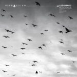 Luis Bravo, Dovim – Resilience