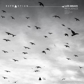 Luis Bravo, Dovim – Resilience
