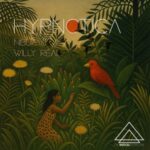 Willy Real, Nibua – Hypnotica