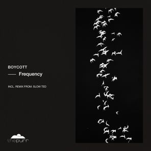 Boycott, Slow Ted – Frequency
