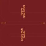 Edward White – Sunlight