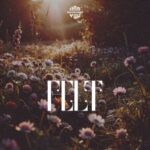 why.wave – Felt