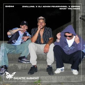 Fronsi, DJ Achim Feuervogel – What You Need