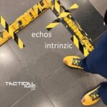 Intrinzic – Echos
