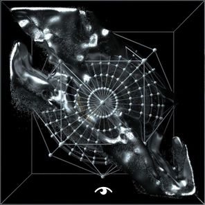 Vedat Unal – Don’t Be Scared