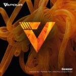 Gowzer – Diamond Sky / Northern Tide / Mind Flux