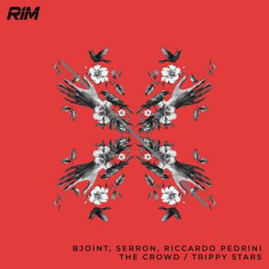 Riccardo Pedrini, Bjoint – The Crowd / Trippy Stars