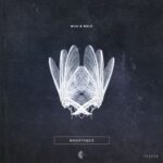 Niju, Mujia & Tajo – Moustique