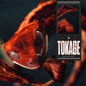 HYNEXX – TOKAGE