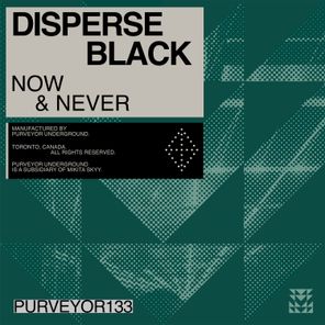 Disperse Black – Now & Never