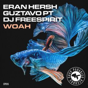 Dj Freespirit, Eran Hersh – Woah