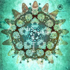 drS (FI) – Fields Forever / Kuwaq Yaku